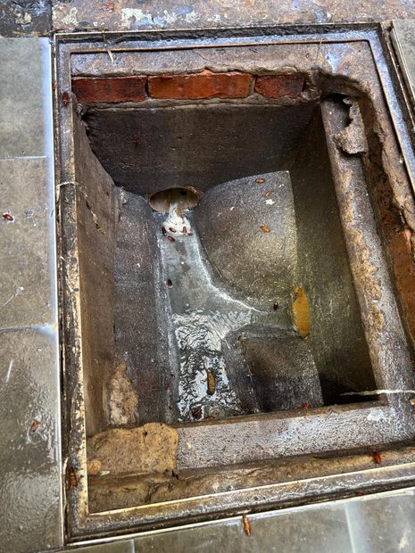 Open grease trap at the rear of a Manly cafe showing cockroach activity inside and around the opening