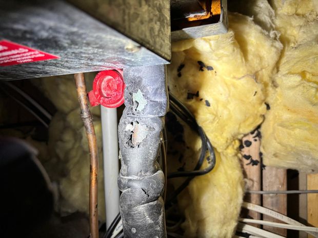 Damage to the foam insulation around plumbing in the roof cavity