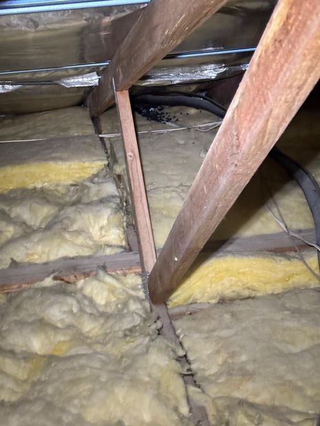 Harbourage in the roof cavity insulation
