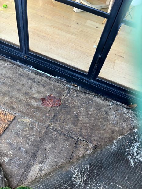 The sliding door threshold and veranda outside, the path the termites used to reach the floor