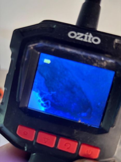 The camera screen showing the dead rodent inside the cavity
