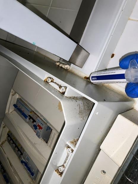 Cockroach harbourage found inside commercial kitchen equipment