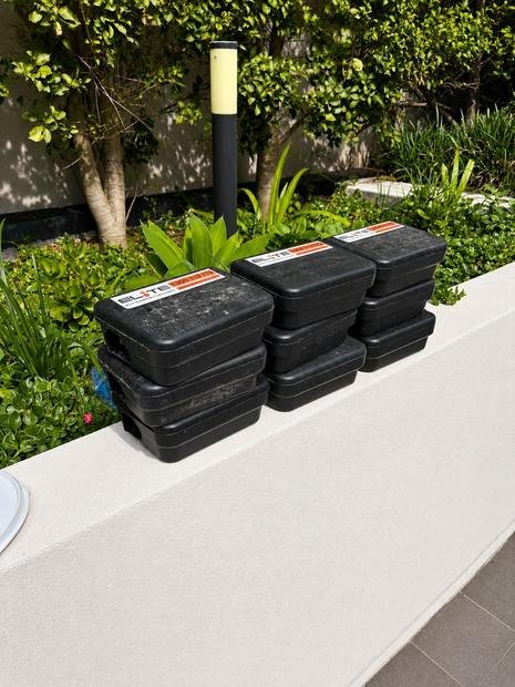 Bait stations staged ahead of a property-wide rollout