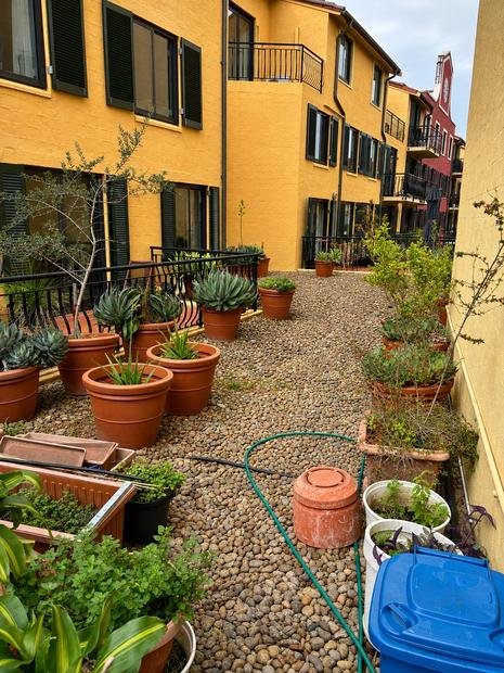 Common-area courtyard serviced under a strata contract