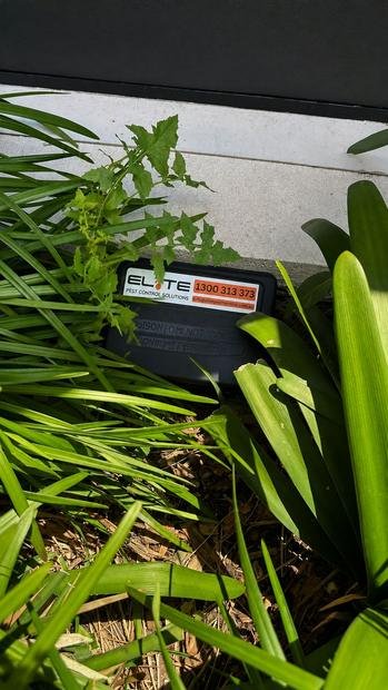 Elite bait station discreetly placed in a garden bed