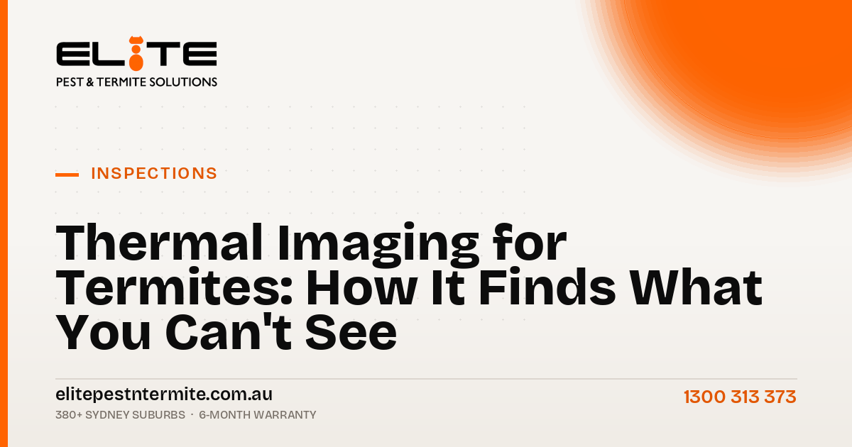 Thermal Imaging for Termites: How It Finds What You Can't See