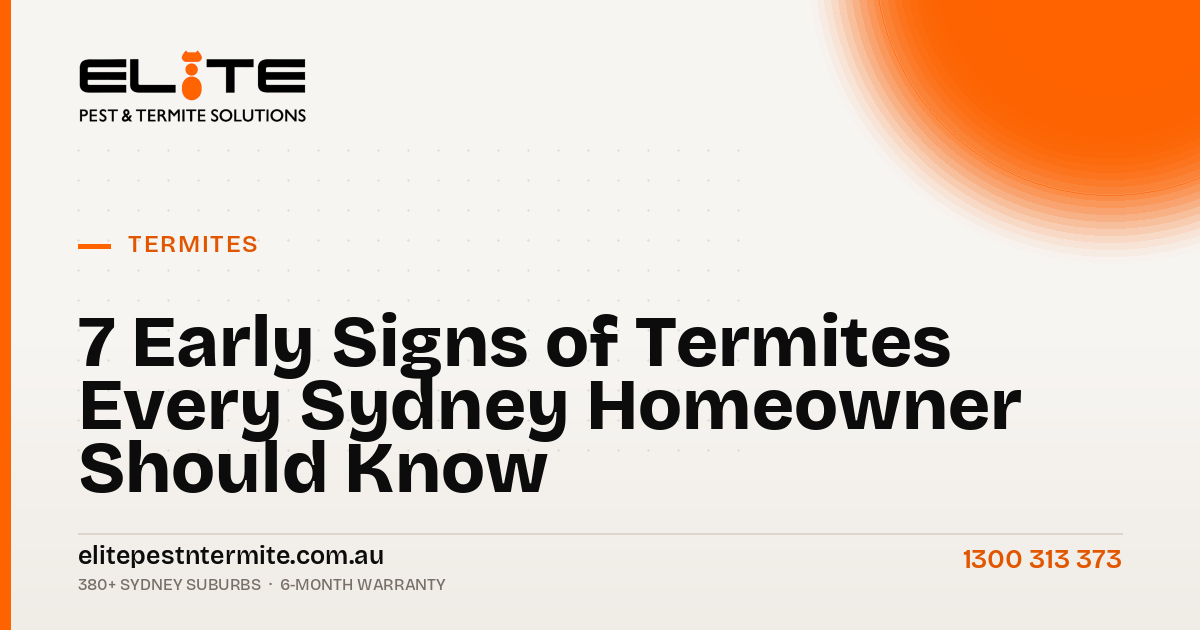 7 Early Signs of Termites Every Sydney Homeowner Should Know