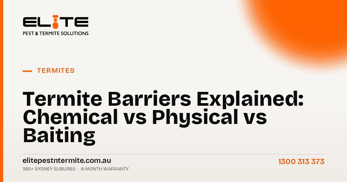Termite Barriers Explained: Chemical vs Physical vs Baiting